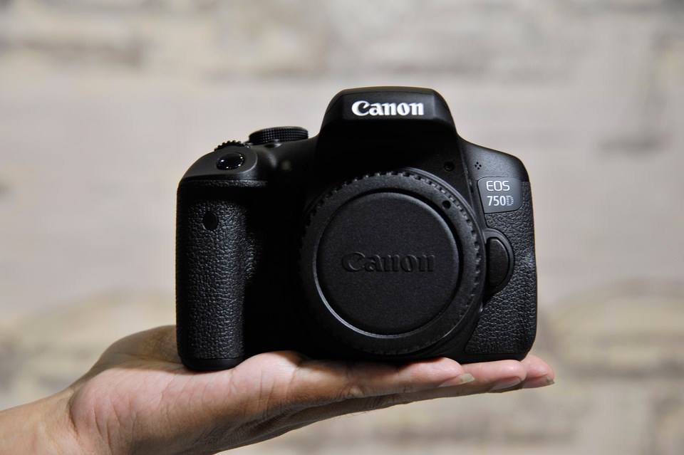 Canon EOS 750D + 18-55 STM (Lê Bảo Minh)