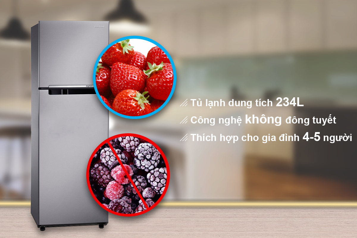 Tủ Lạnh Inverter Samsung RT22HAR4DSA/SV (234L)