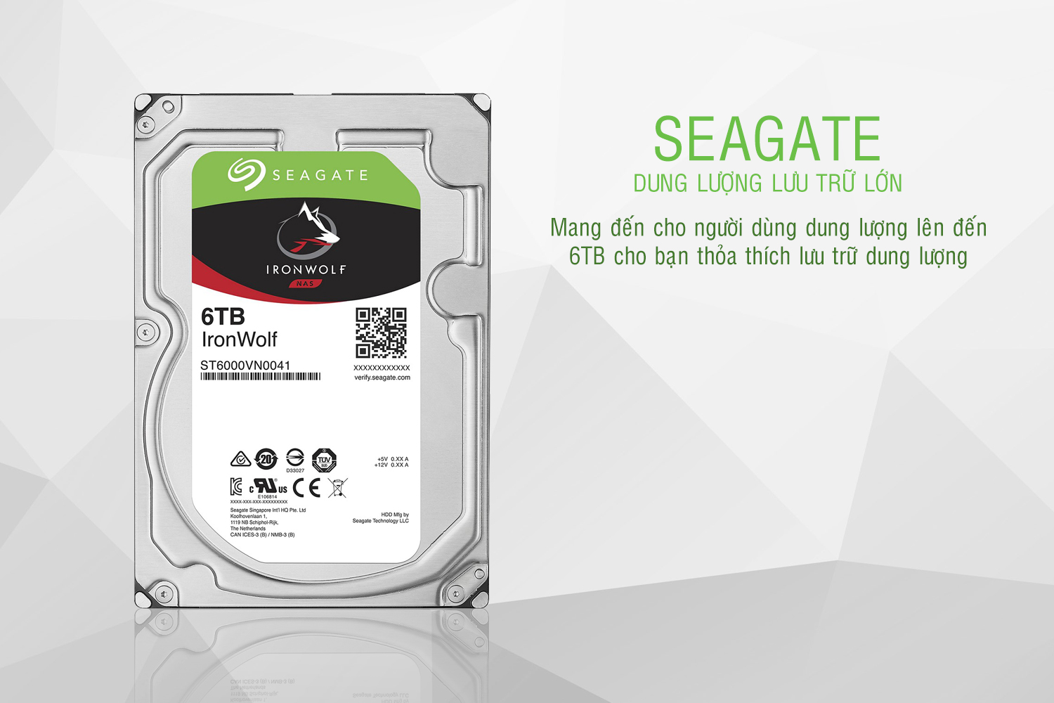 Ổ Cứng Trong Seagate IronWolf 6TB/128MB/3.5 - ST6000VN0041