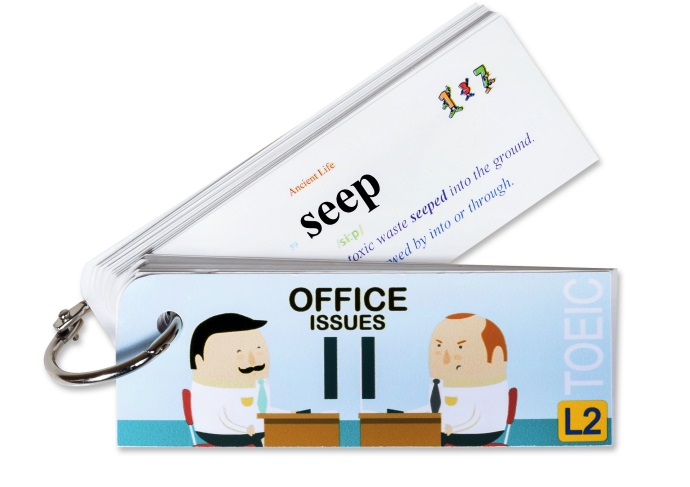 Flashcard Office Issues Best Quality (L2)