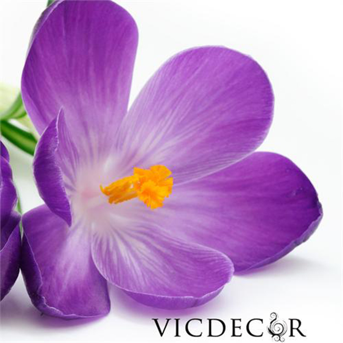 http://tikicdn.com/media/catalog/product/v/i/vicdecor-dht0040-hoa-tim-lung-linh-3.jpg