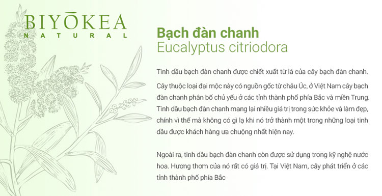 Tinh Dầu Bạch Đàn Chanh Biyokea (10ml)